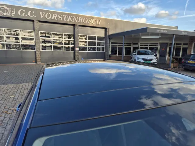 Volkswagen Taigo 1.0 TSI Life Business 2023 Benzine 14