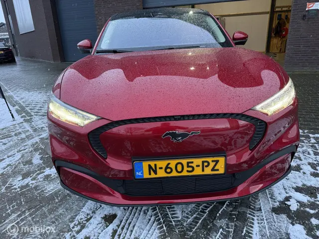 Ford Mustang Mach-E RWD 75 kWh 2021 Elektrisch 7