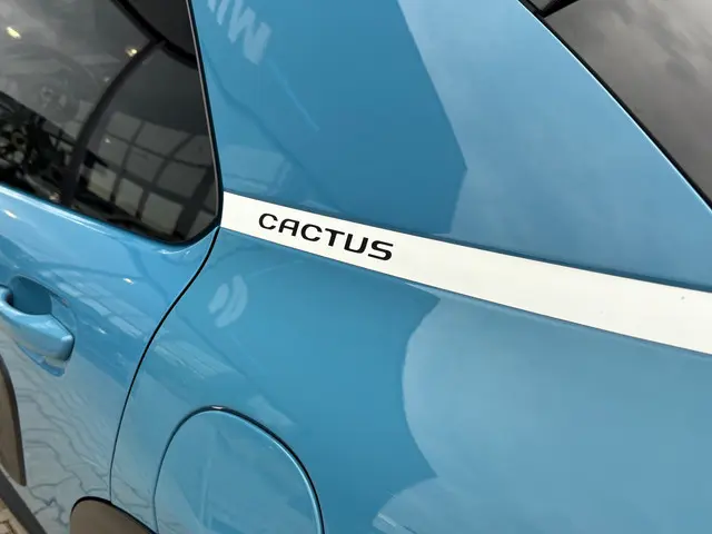 Citroën C4 Cactus 1.2 PureTech Shine 2018 Benzine 10