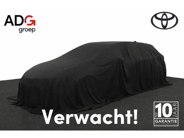 Toyota RAV4 2.5 Hybrid AWD Bi-Tone 2020 Hybride Benzine