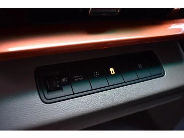 Farizon SV L1H1 83 kWh 2025 Elektrisch 15