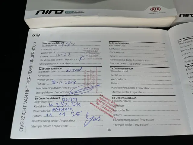 Kia e-Niro ExecutiveLine 64 kWh 2020 Elektrisch 17