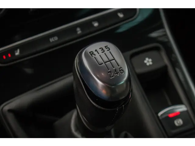 Renault Scénic TCe 140 Bose 2020 Benzine 28