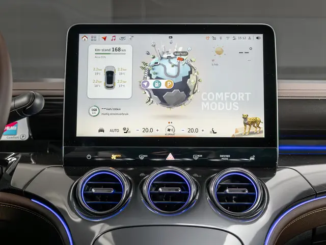 Smart #3 Premium 66 kWh 2025 Elektrisch 13