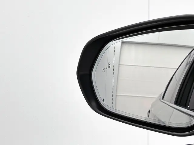 Lexus RX 450h AWD Executive Line 2021 Hybride Benzine 25