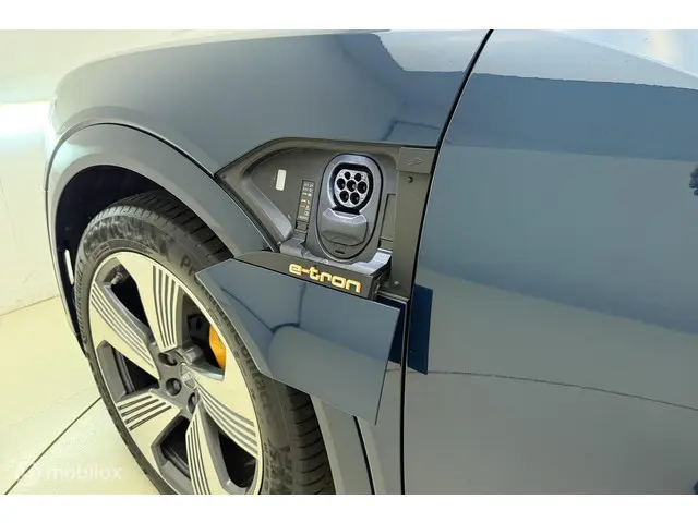 Audi e-tron 55 FULL OPTION! 113K NP!! 2018 Elektrisch 22