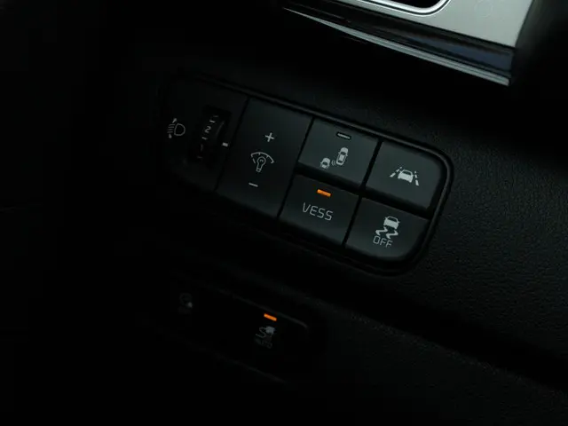 Kia e-Niro ExecutiveLine 64 kWh 2019 Elektrisch 25