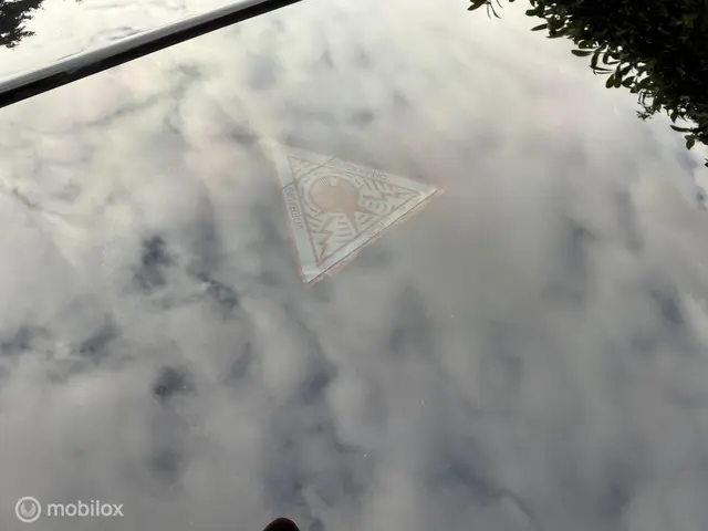 BMW 3 Serie 318i Luxury Edition 2019 2019 Benzine 28