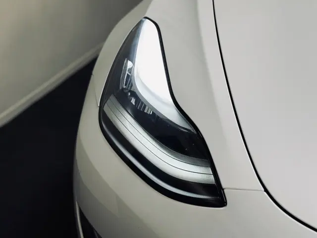 Tesla Model 3 Performance AWD 75 kWh 2019 Elektrisch 11