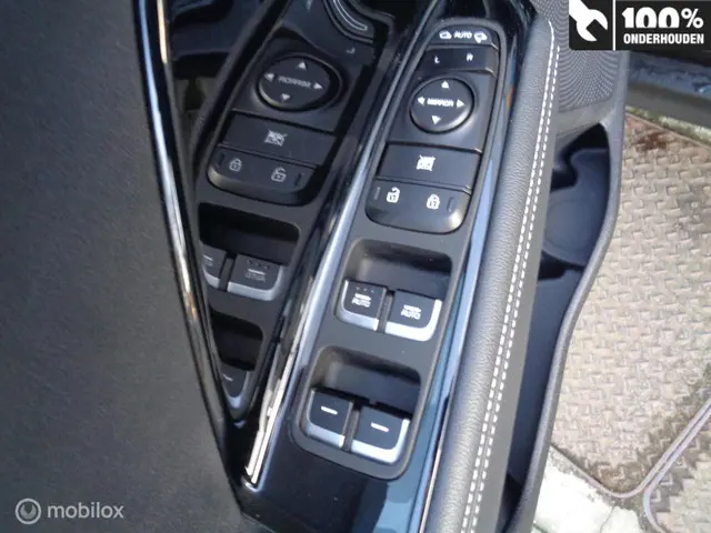 Kia e-Niro ExecutiveLine 64 kWh 2020 Elektrisch 10