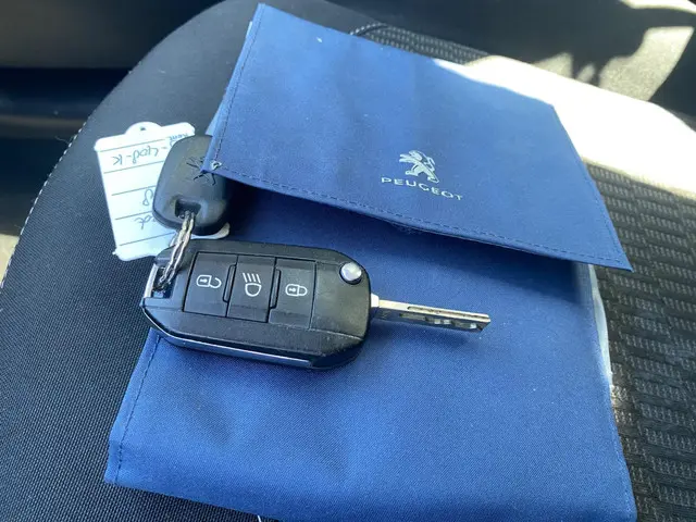 Peugeot 208 1.2 PureTech Blue Lion 2018 Benzine 20