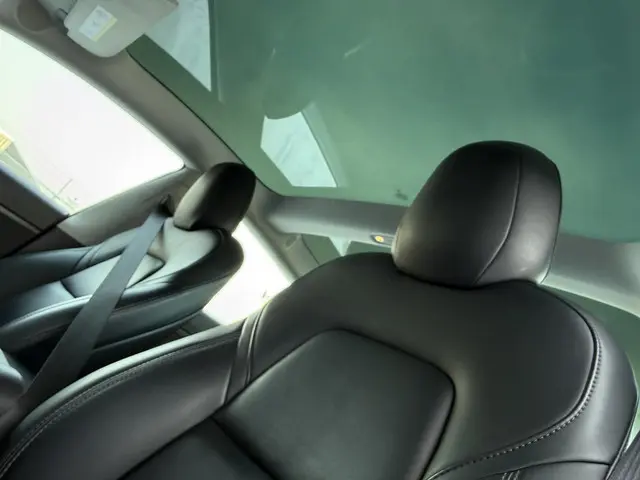 Tesla Model 3 Standard RWD Plus 60 kWh 2020 Elektrisch 9