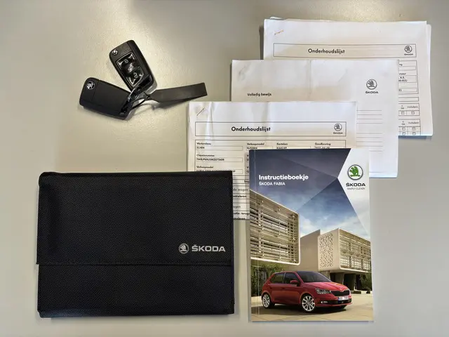 Škoda Fabia Combi 1.0 TSI Business Edition 2021 Benzine 21