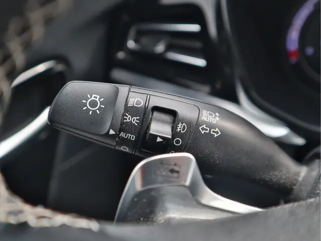 Kia e-Niro DynamicPlusLine 64 kWh 2022 Elektrisch 11