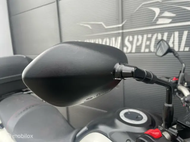 Suzuki DL 650 V-Strom ABS 2014 Benzine 9