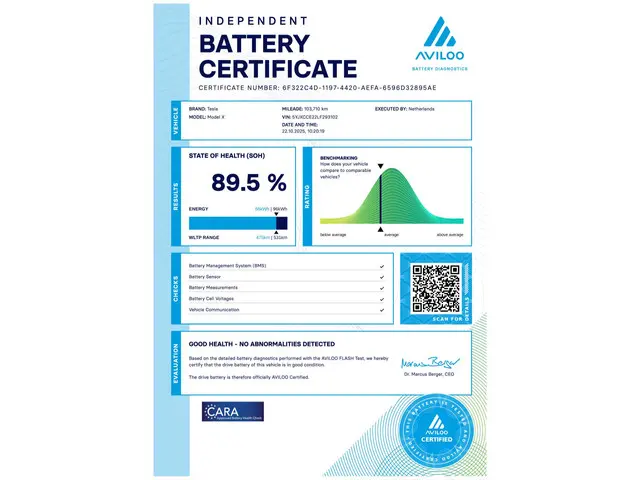 Tesla Model X Long Range 6P 2020 Elektrisch 13