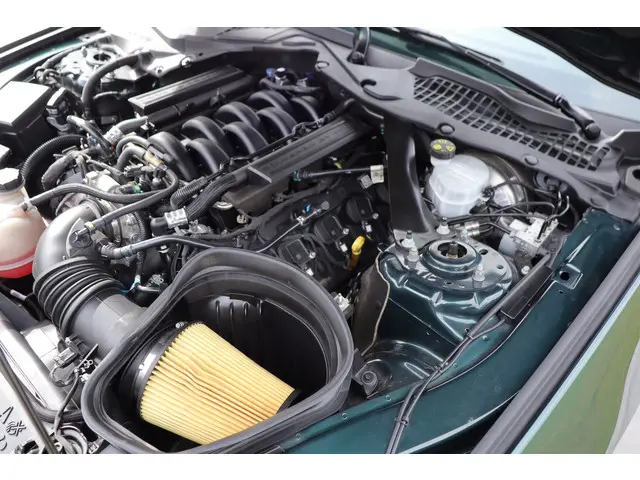 Ford Mustang Fastback Bullitt 2019 Benzine 46