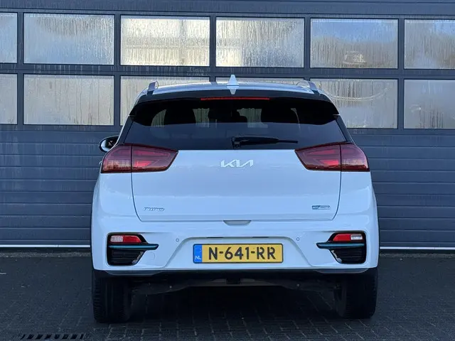 Kia e-Niro DYNAMICPLUSLINE 64 KWH 2021 Elektrisch 18