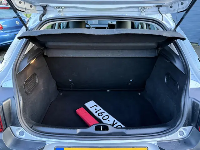 Citroën C4 Cactus 1.2 PureTech Business 2015 Benzine 28