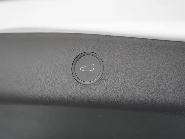 Tesla Model 3 Standard RWD Plus 60 kWh 2021 Elektrisch 12
