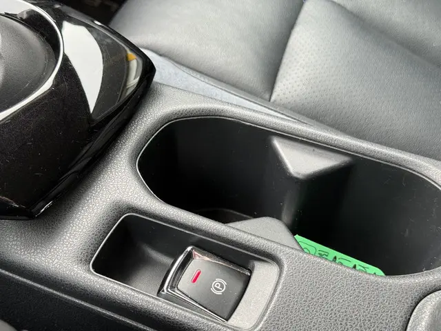 Nissan Leaf e+ Tekna 62 kWh 2019 Elektrisch 31