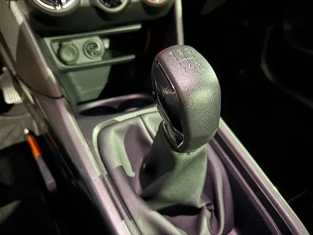 Peugeot 2008 |1.2 PureTech Blue Lion | Pano | 2017 Benzine 18