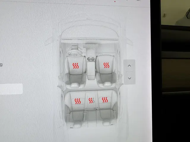 Tesla Model 3 Performance AWD 75 kWh 2019 Elektrisch 22