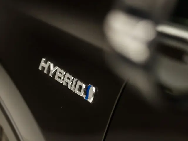 Toyota RAV4 2.5 Hybrid Sport 2016 Hybride Benzine 29