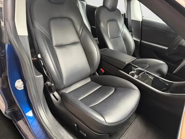 Tesla Model 3 Long Range AWD 75 kWh 2019 Elektrisch 3