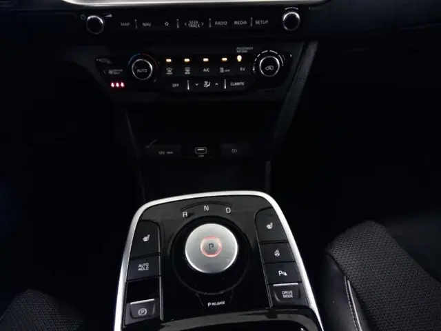 Kia e-Niro DYNAMICPLUSLINE 64 KWH 2021 Elektrisch 5