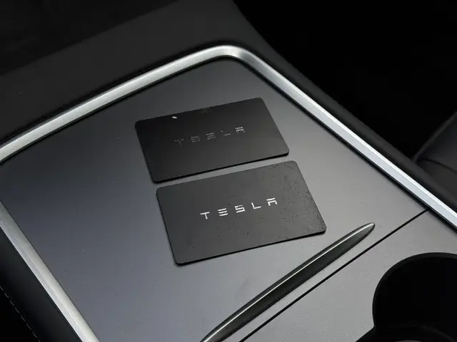 Tesla Model Y Long Range Dual AWD 2023 Elektrisch 28