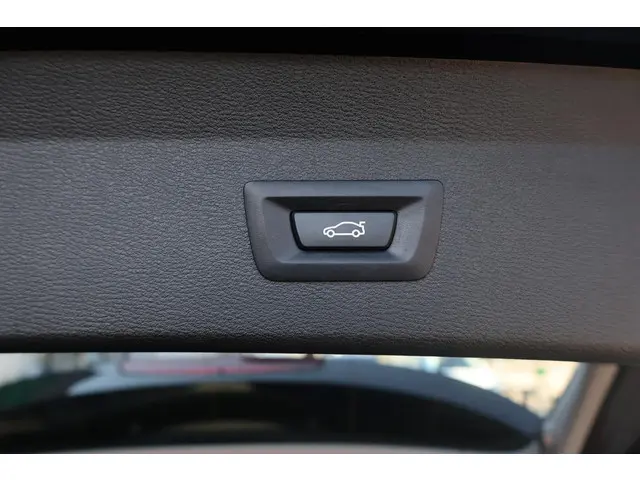 BMW X1 xDrive25e Executive 2021 Hybride Benzine 24