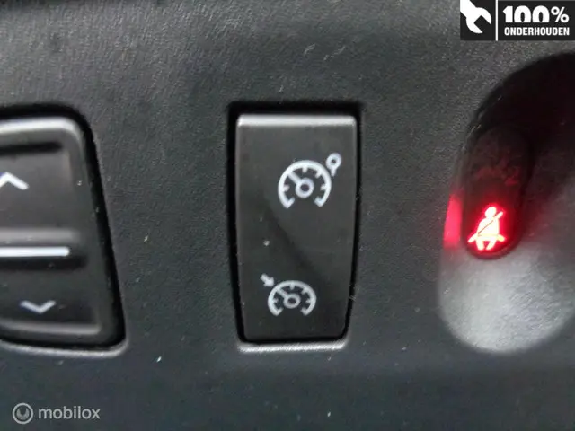 Dacia Sandero Stepway Fase II 0.9 TCe 90 2020 Benzine 17