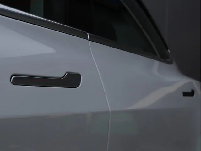 Tesla Model 3 Standard RWD Plus 60 kWh 2019 Elektrisch 13