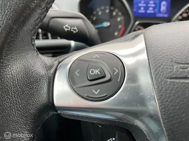 Ford C-MAX 1.6 EcoBoost Lease Titanium 2013 Benzine 23