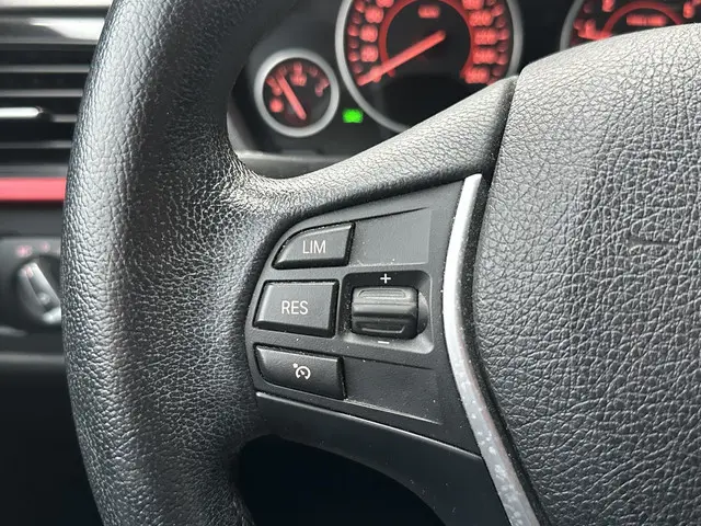 BMW 3 Serie Touring 316i High Executive 2015 Benzine 15