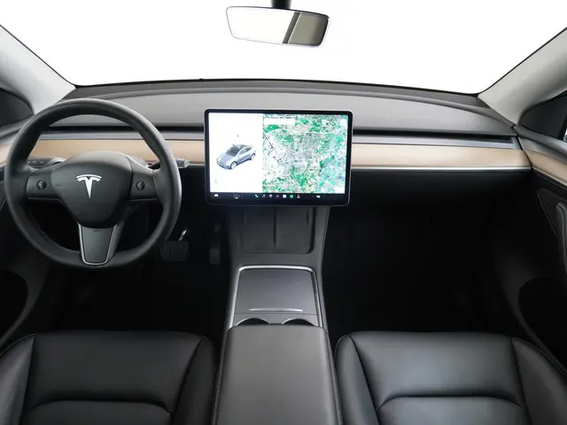Tesla Model Y Long Range AWD 75 kWh 2021 Elektrisch 24