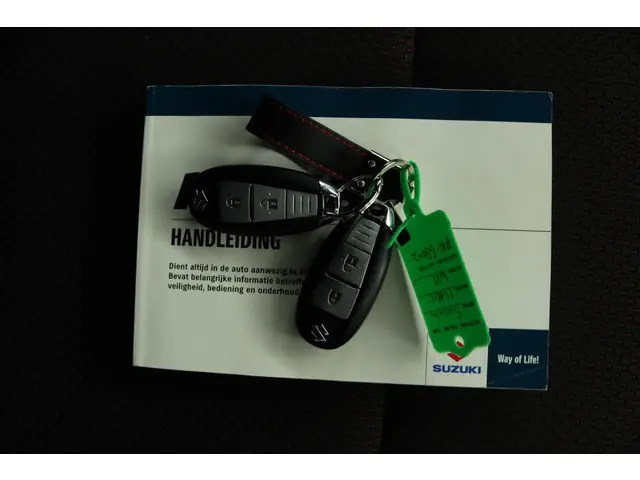 Suzuki Ignis 1.2 Stijl Smart Hybrid 2017 Benzine 11