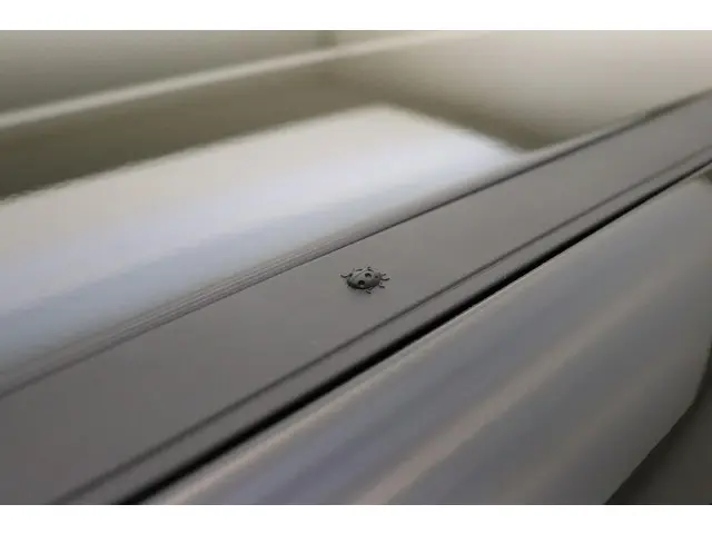 Jeep Avenger Summit 54 kWh 2025 Elektrisch 18