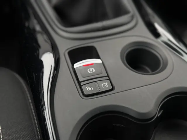 Renault Kadjar 1.2 TCe 2017 Benzine 20