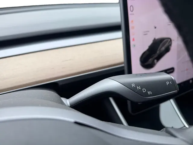 Tesla Model 3 Long Range AWD 75 kWh 2019 Elektrisch 18