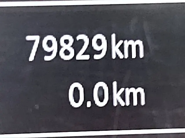 Renault Master 2.3 2022 Diesel 9