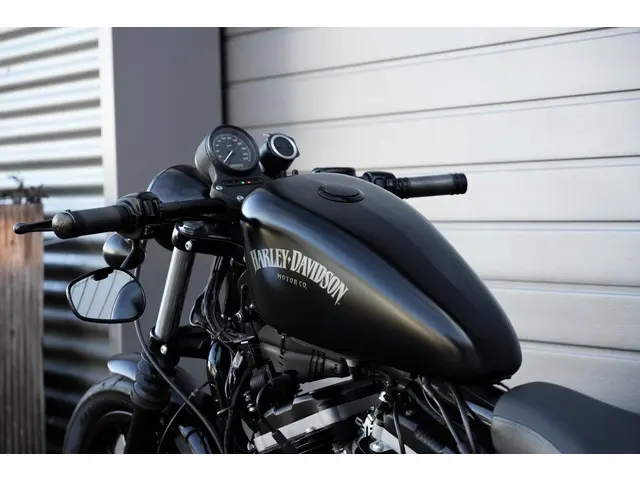 Harley-Davidson Sportster XL 883 N Iron 2013 Benzine 12