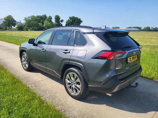 Toyota RAV4 2.0 VVT-iE Executive 2019 Benzine 2