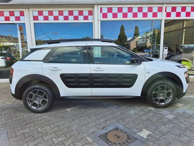 Citroën C4 Cactus 1.2 PureTech Business 2017 Benzine 13