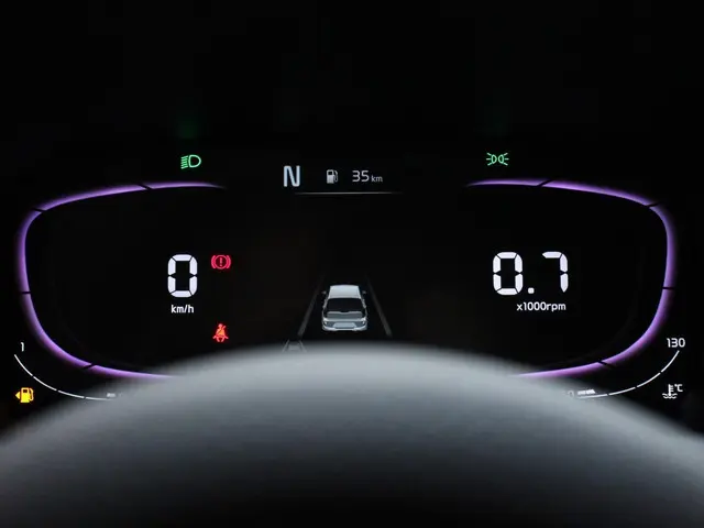 Kia Picanto 1.0 DPI Automaat DynamicLine 2025 Benzine 24