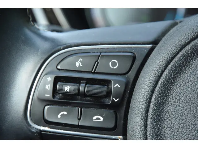 Kia e-Niro DynamicLine 64 kWh 2021 Elektrisch 9