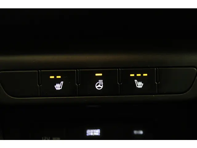 Kia Sportage 1.6 T-GDi MHEV ComfortLine 2022 Benzine 14