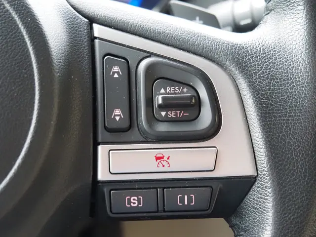 Subaru Outback 2.5i Premium AWD - Trekhaak 2016 Benzine 19