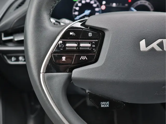 Kia Niro EV DynamicLine 64.8 kWh 2023 Elektrisch 12
